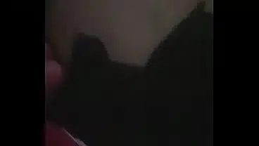 Xvideos