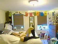 your girlfriend orgasms with vibrator while you watch through pet cam