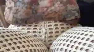Pornhub Music : Titty bounce