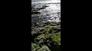The best ass of Pornhub relaxing and pissing on beach 😉